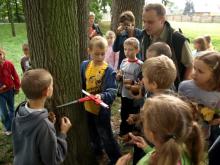 Edukacja leśna