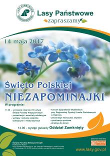 XVI Święto Polskiej Niezapominajki