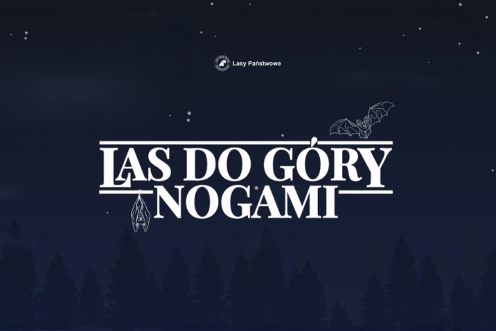Grafika akcji Las do góry nogami